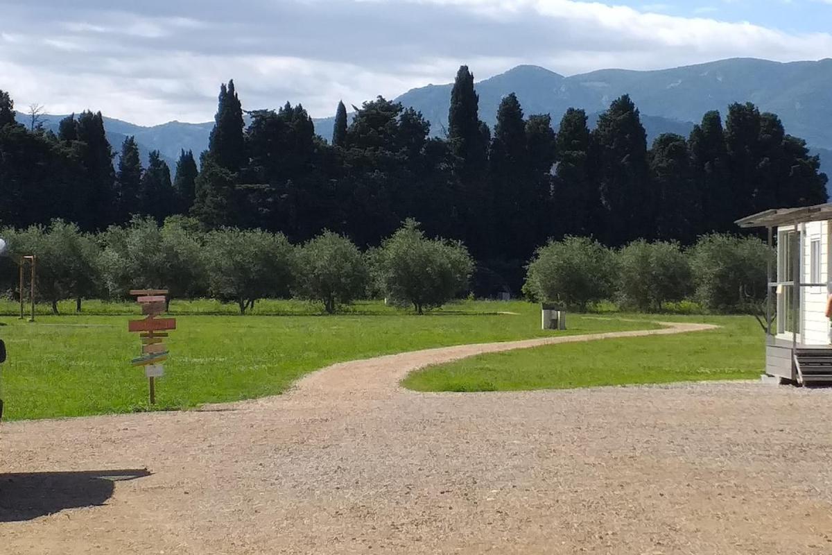 Le Mas Del Cargol Palau-del-Vidre Bagian luar foto