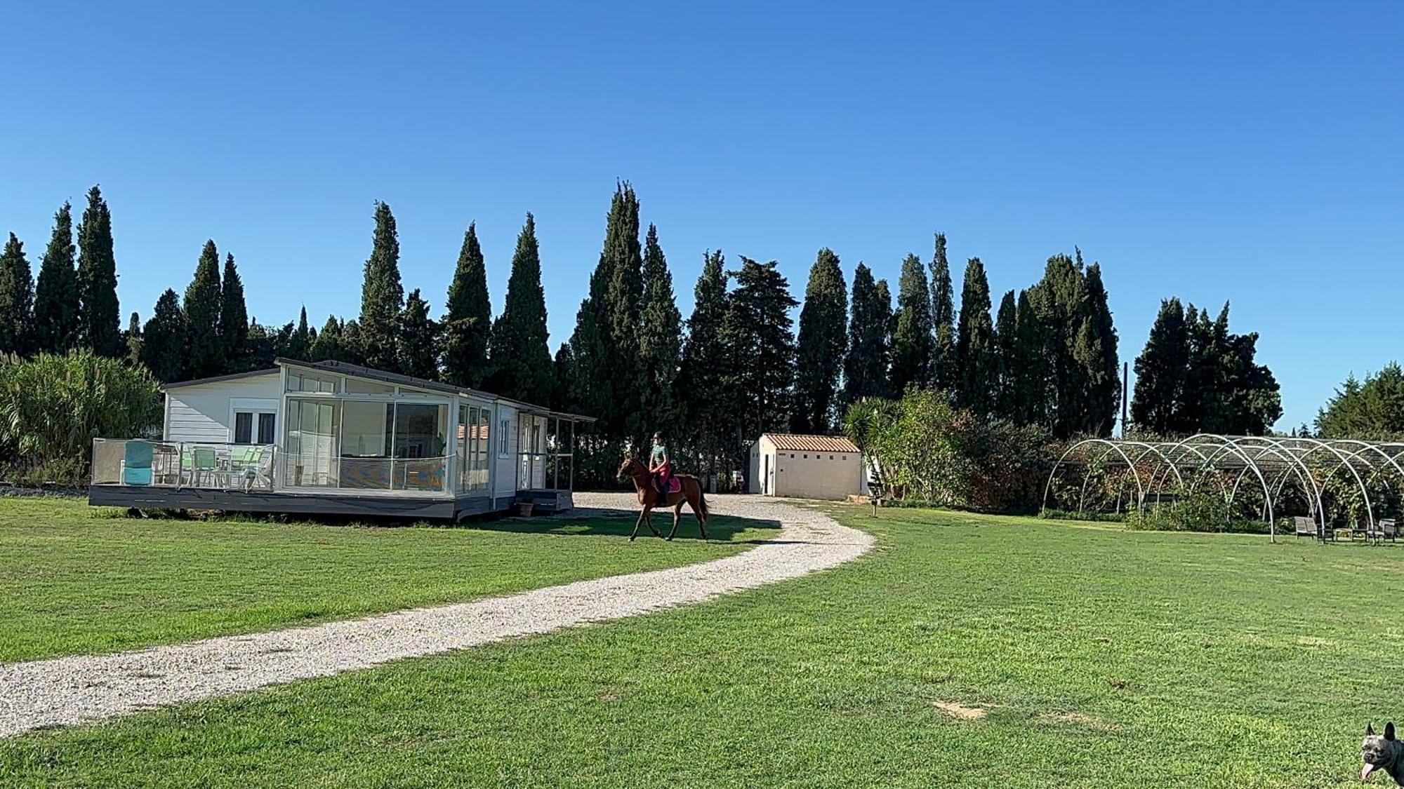 Le Mas Del Cargol Palau-del-Vidre Bagian luar foto
